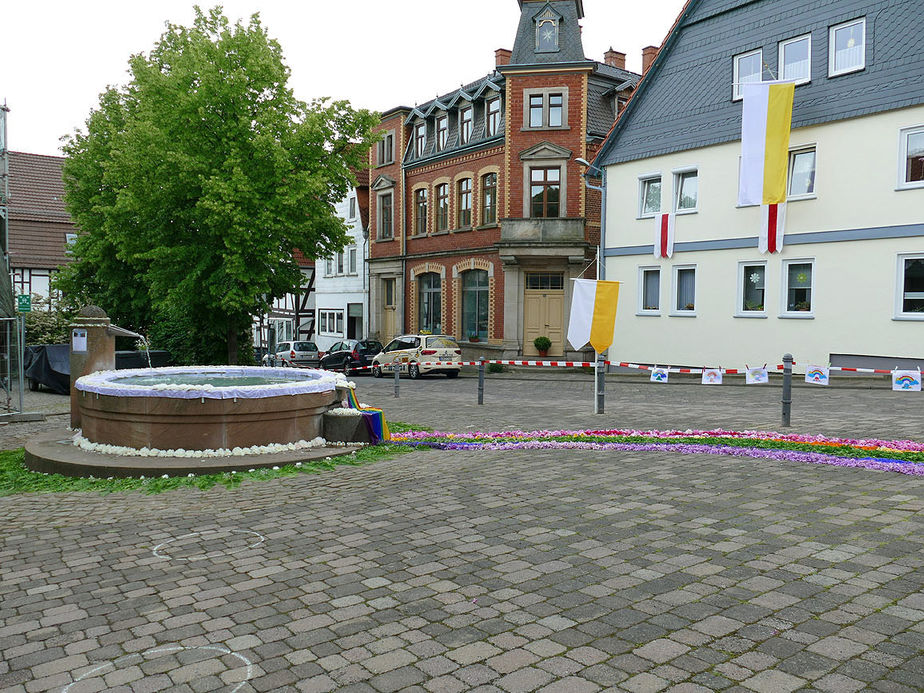 Bluemteppich auf dem Naumburegr Marktplatz (Foto: Karl-Franz Thiede)